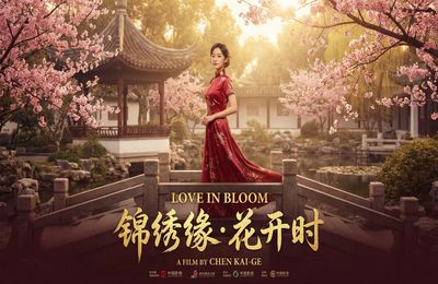 香蕉视频精选视频 - 都市情缘